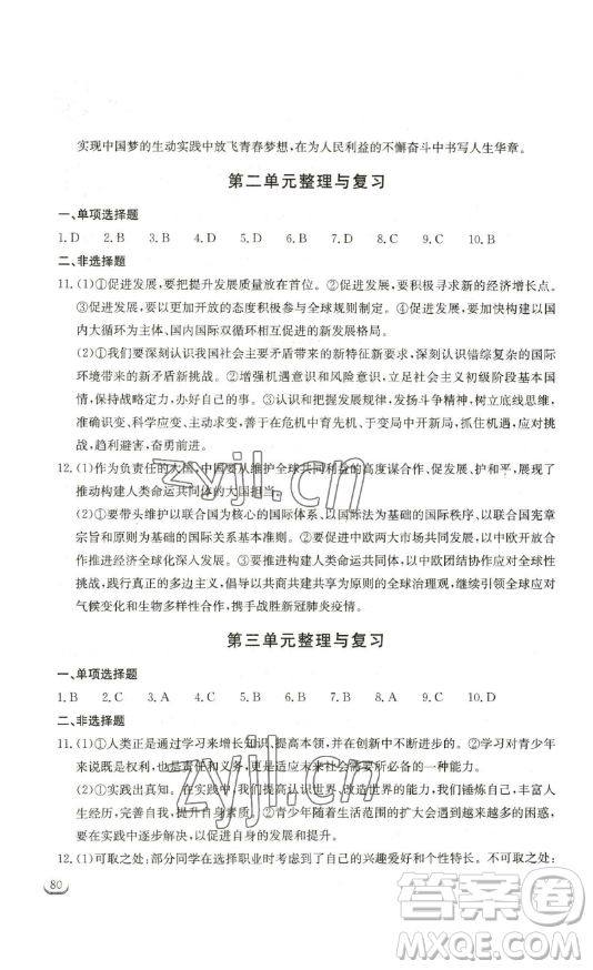 湖北教育出版社2023長江作業(yè)本同步練習(xí)冊九年級道德與法治下冊人教版參考答案