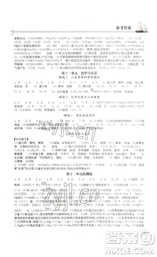 湖北教育出版社2023長(zhǎng)江作業(yè)本同步練習(xí)冊(cè)九年級(jí)化學(xué)下冊(cè)人教版參考答案