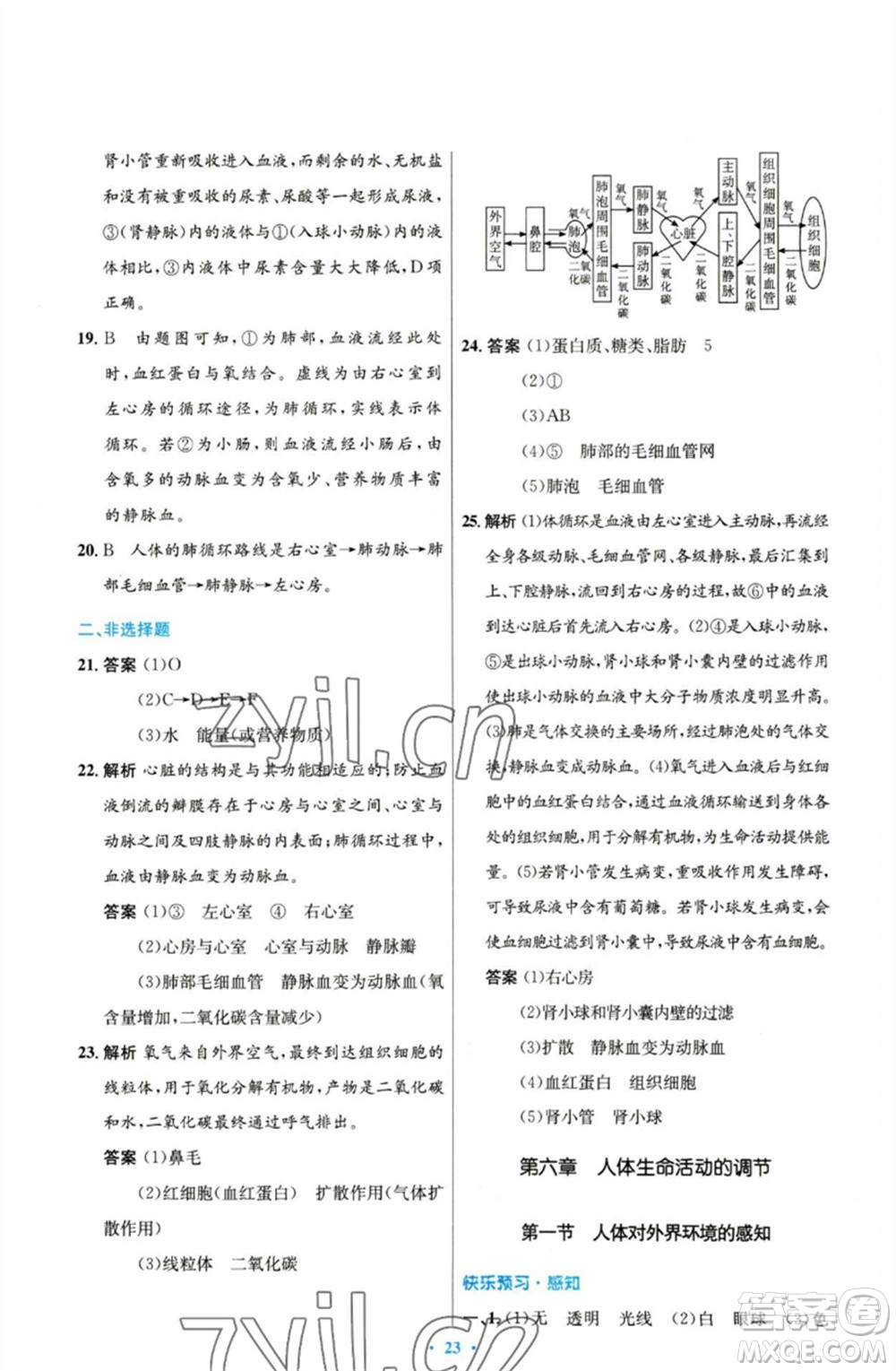 人民教育出版社2023初中同步測控優(yōu)化設(shè)計(jì)七年級生物下冊人教版參考答案