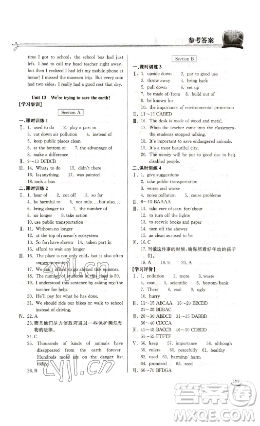 湖北教育出版社2023長江作業(yè)本同步練習(xí)冊九年級(jí)英語下冊人教版參考答案