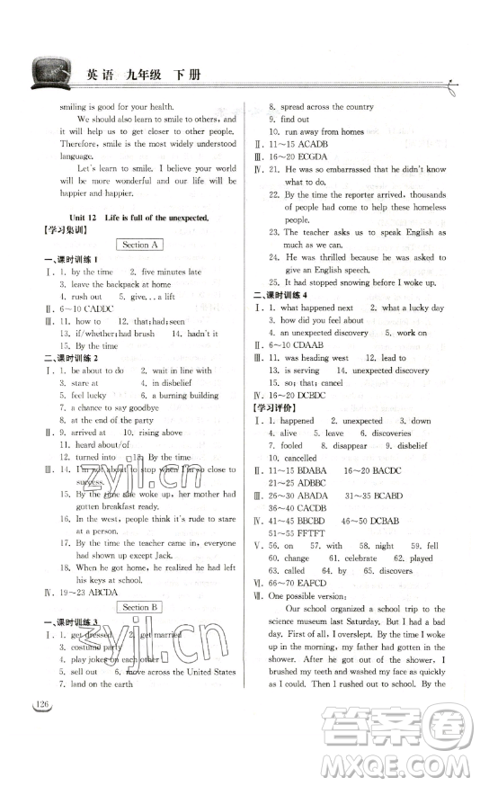 湖北教育出版社2023長江作業(yè)本同步練習(xí)冊九年級(jí)英語下冊人教版參考答案