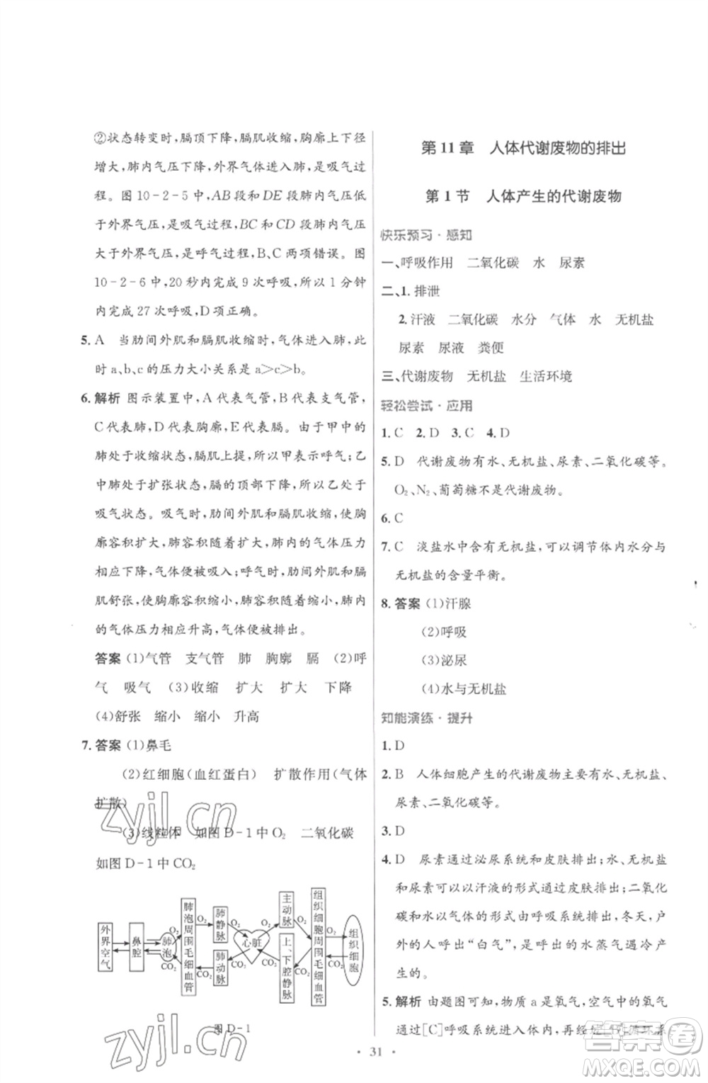 北京師范大學(xué)出版社2023初中同步測控優(yōu)化設(shè)計(jì)七年級生物下冊北師大版重慶專版參考答案