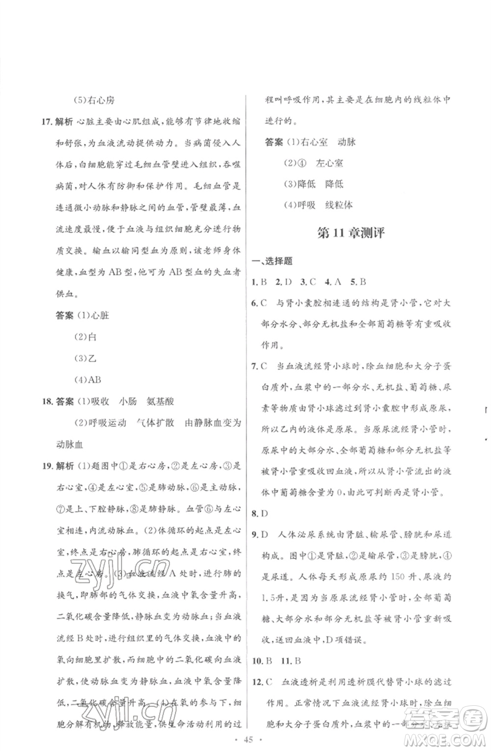 北京師范大學(xué)出版社2023初中同步測控優(yōu)化設(shè)計(jì)七年級生物下冊北師大版重慶專版參考答案