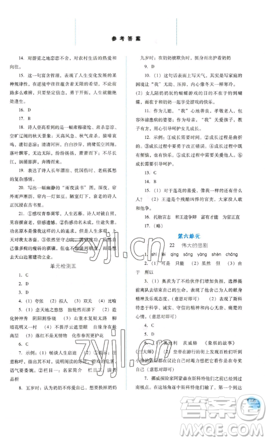 河北人民出版社2023同步訓(xùn)練七年級(jí)語文下冊(cè)人教版參考答案