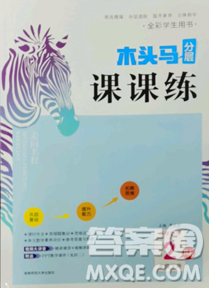 湖南師范大學(xué)出版社2023木頭馬分層課課練二年級(jí)數(shù)學(xué)下冊(cè)人教版