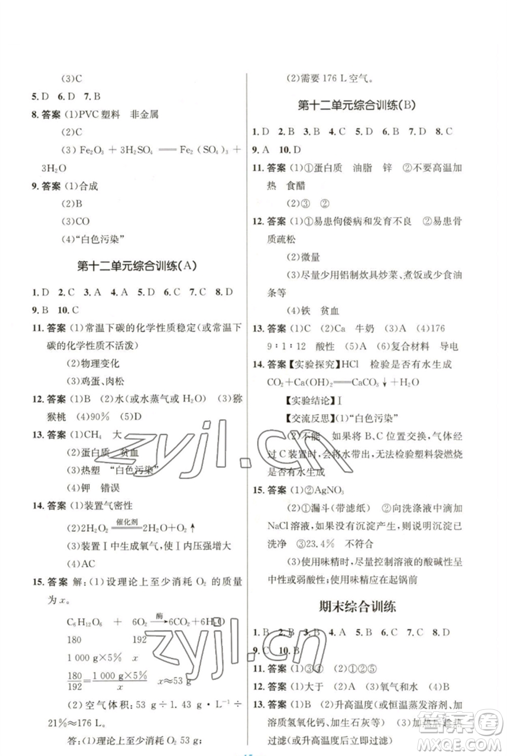 人民教育出版社2023初中同步測(cè)控優(yōu)化設(shè)計(jì)九年級(jí)化學(xué)下冊(cè)人教版參考答案