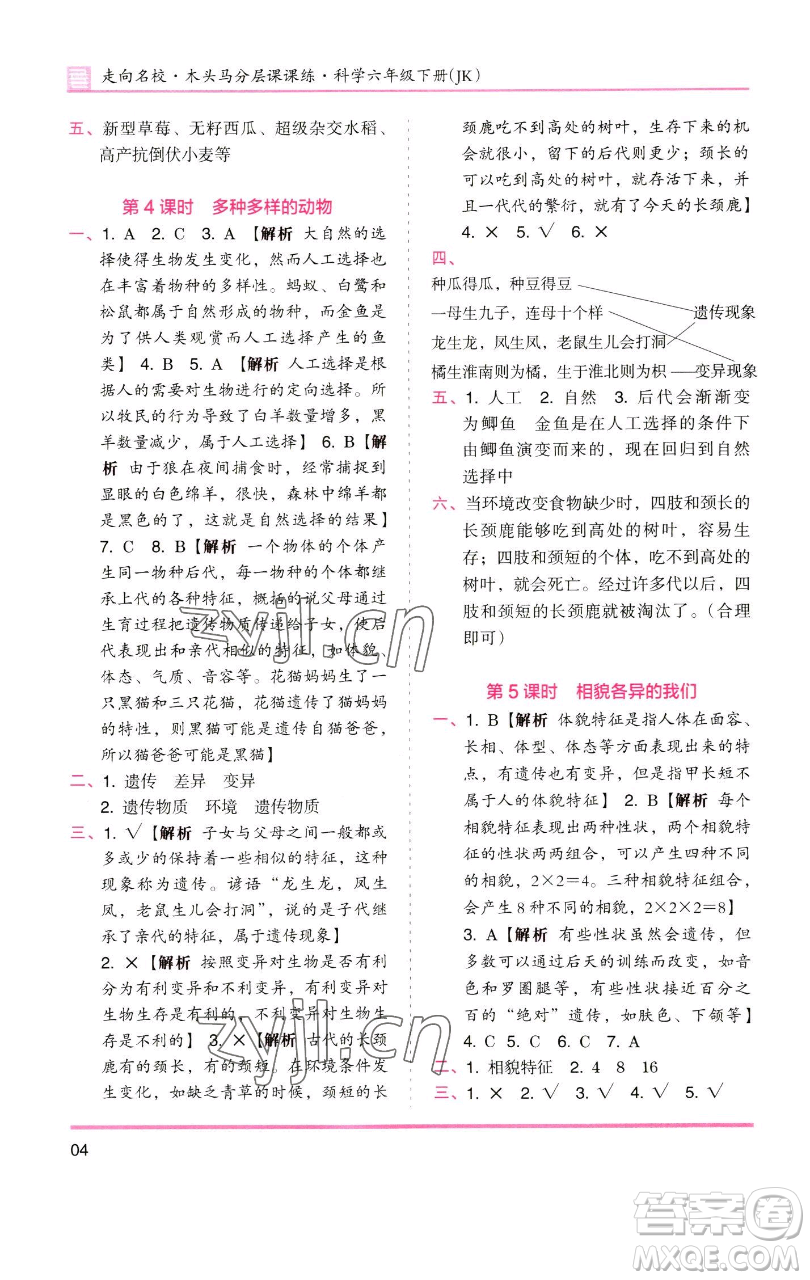 湖南師范大學(xué)出版社2023木頭馬分層課課練六年級(jí)科學(xué)下冊(cè)教科版參考答案