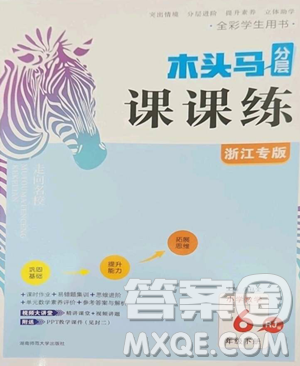 湖南師范大學(xué)出版社2023木頭馬分層課課練六年級數(shù)學(xué)下冊人教版浙江專版參考答案