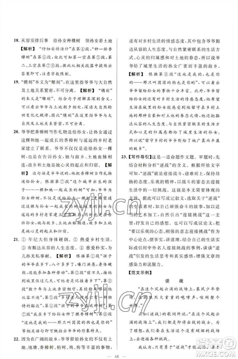 延邊教育出版社2023春季亮點給力大試卷九年級語文下冊人教版參考答案