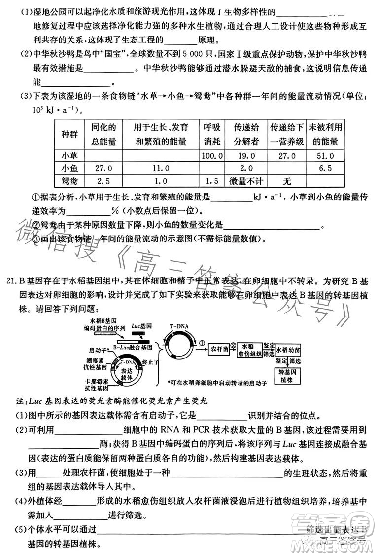 湖南省2023屆高三九校聯(lián)盟第二次聯(lián)考生物學答案