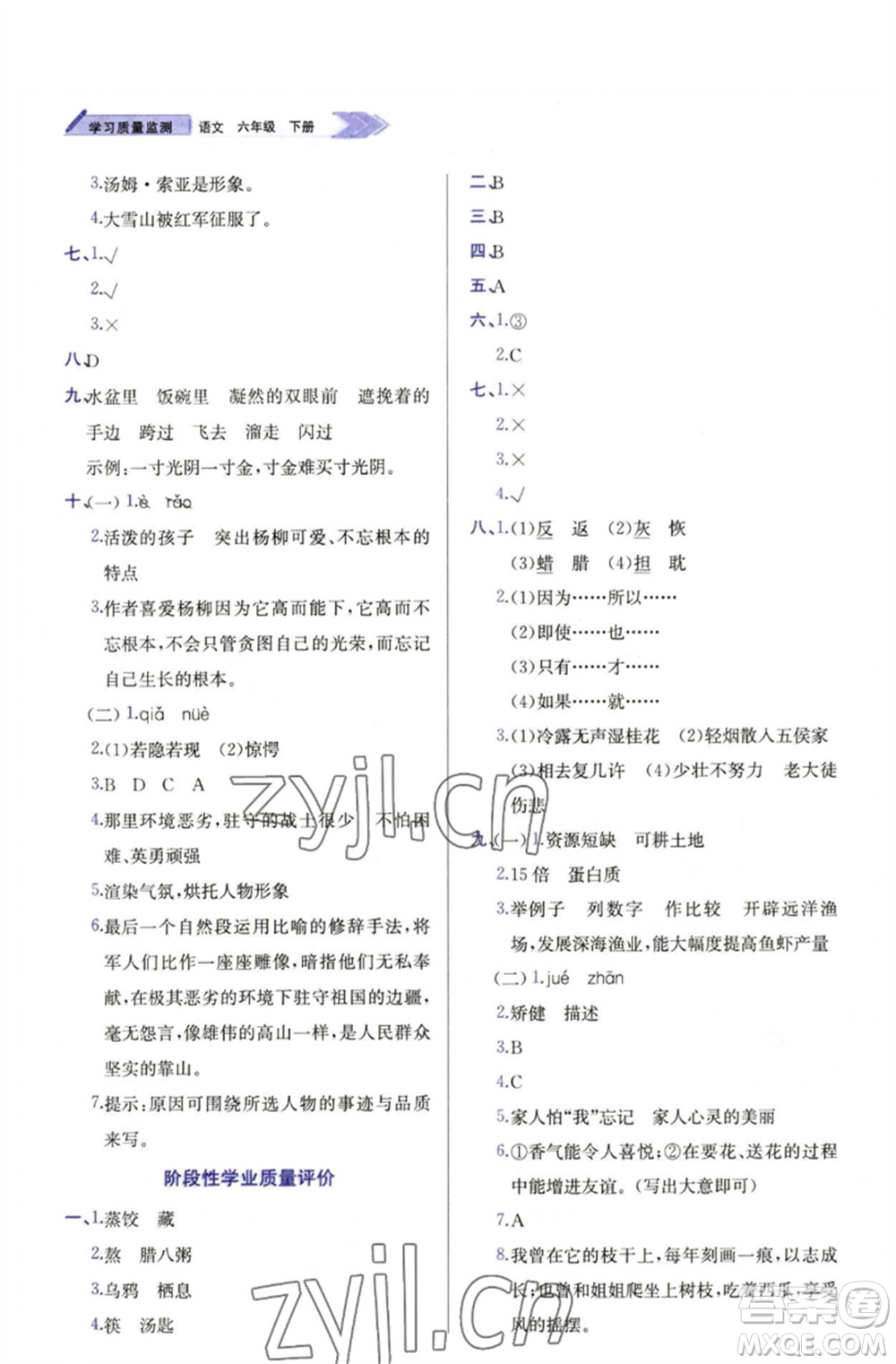 天津教育出版社2023學(xué)習(xí)質(zhì)量監(jiān)測(cè)六年級(jí)語文下冊(cè)人教版參考答案