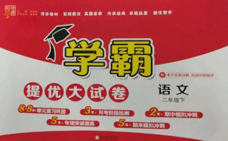 寧夏人民教育出版社2023學霸提優(yōu)大試卷二年級語文下冊人教版參考答案