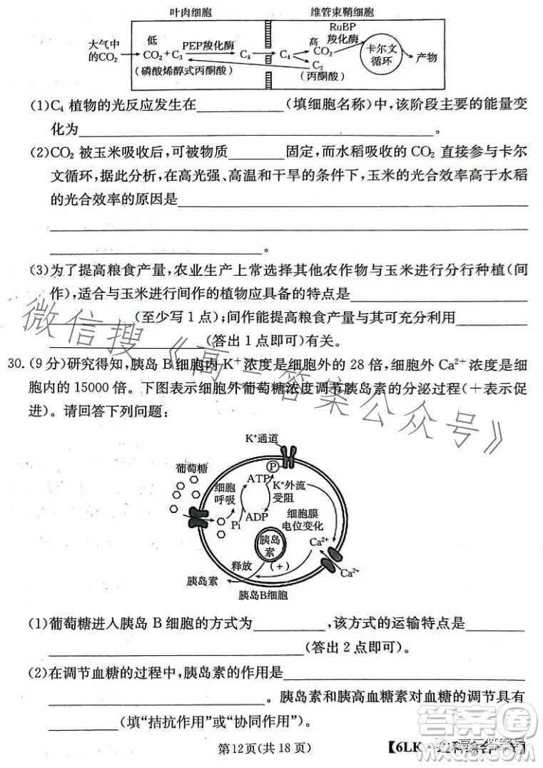 全國大聯(lián)考2023屆高三第六次聯(lián)考6LK理科綜合試卷答案