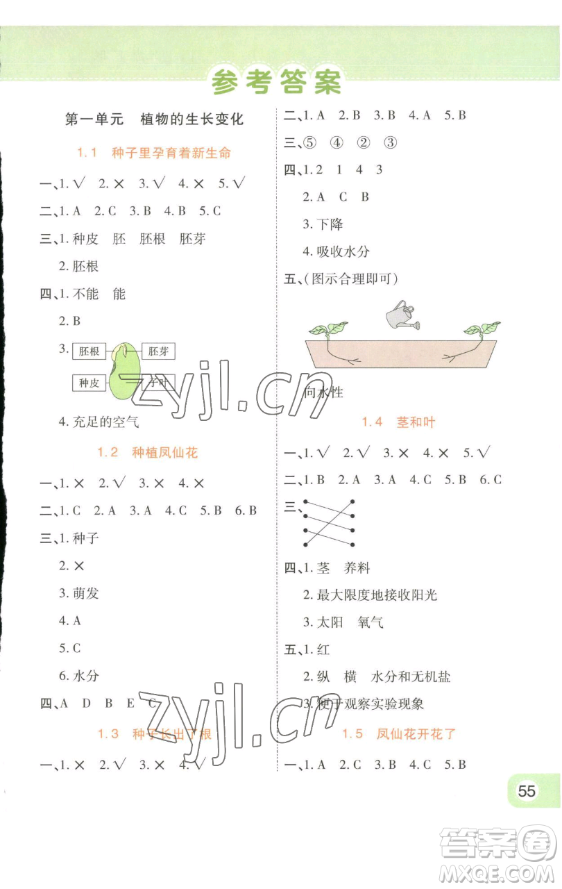 陜西師范大學(xué)出版總社有限公司2023黃岡同步練一日一練四年級科學(xué)下冊教科版參考答案