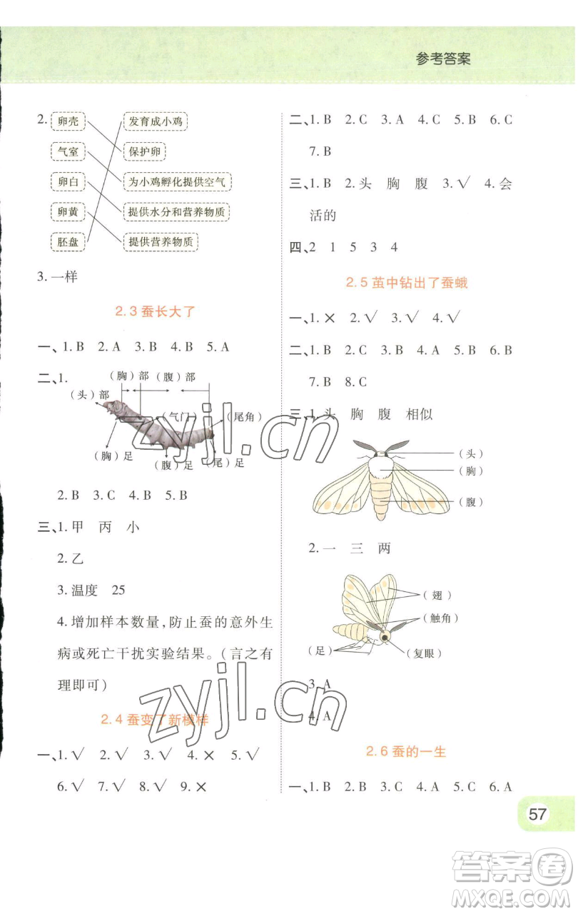 陜西師范大學出版總社有限公司2023黃岡同步練一日一練三年級科學下冊教科版參考答案