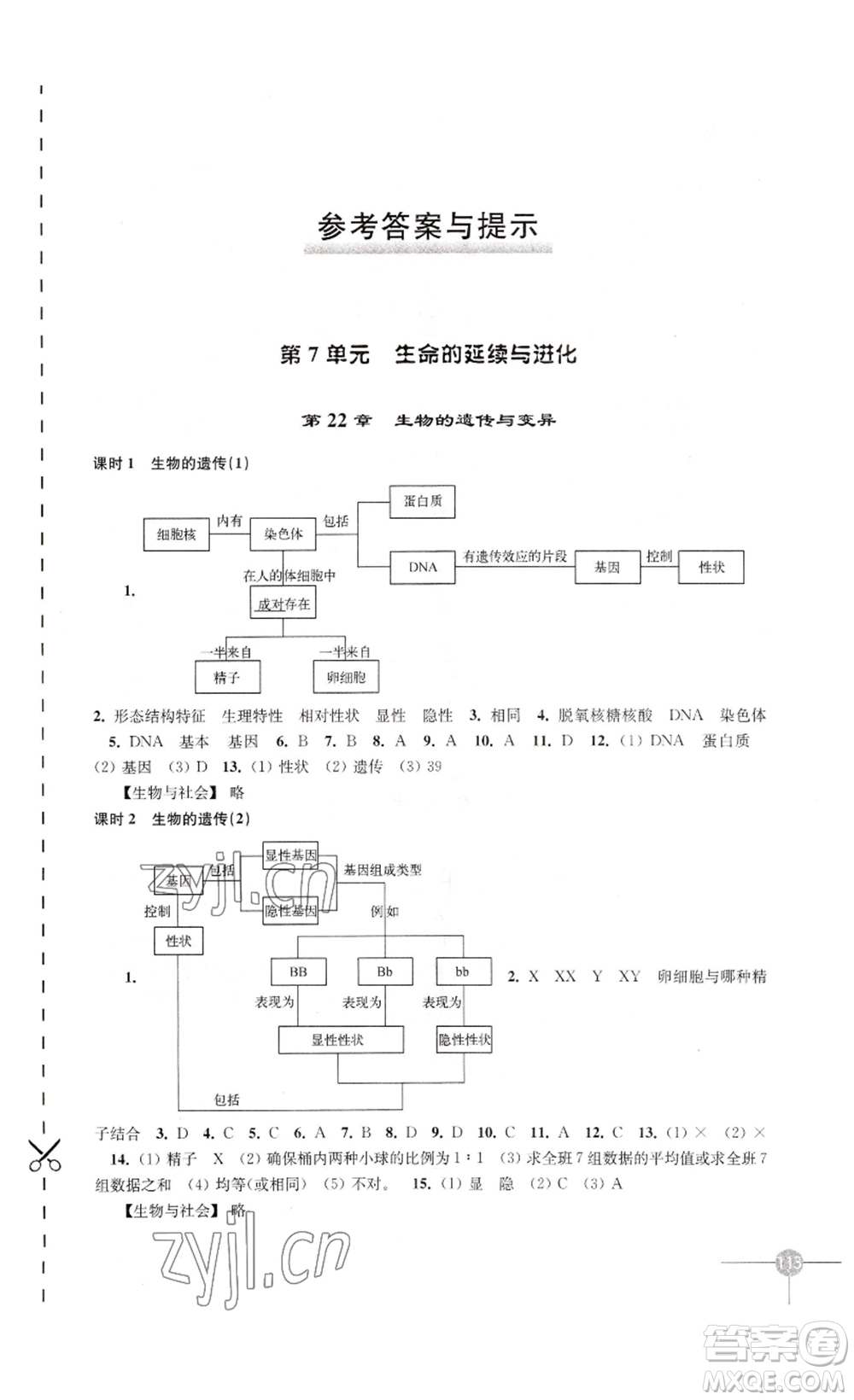 譯林出版社2023課課練初中生物學八年級下冊蘇科版答案