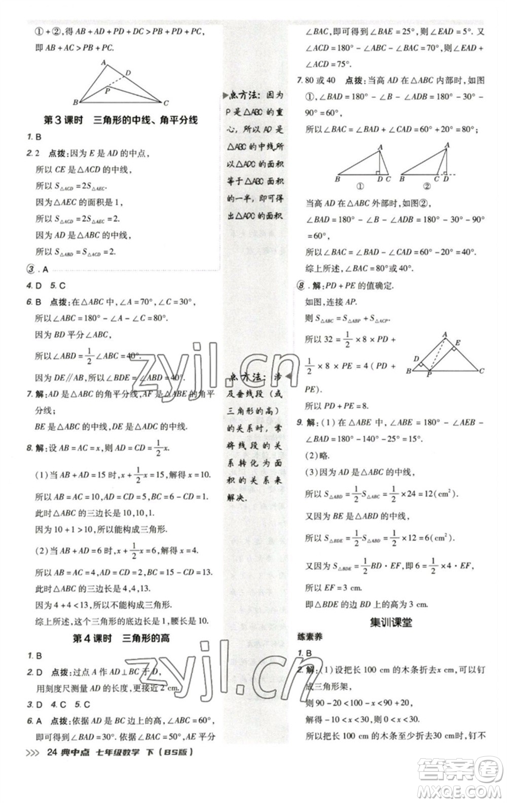 陜西人民教育出版社2023綜合應(yīng)用創(chuàng)新題典中點(diǎn)七年級(jí)數(shù)學(xué)下冊北師大版參考答案