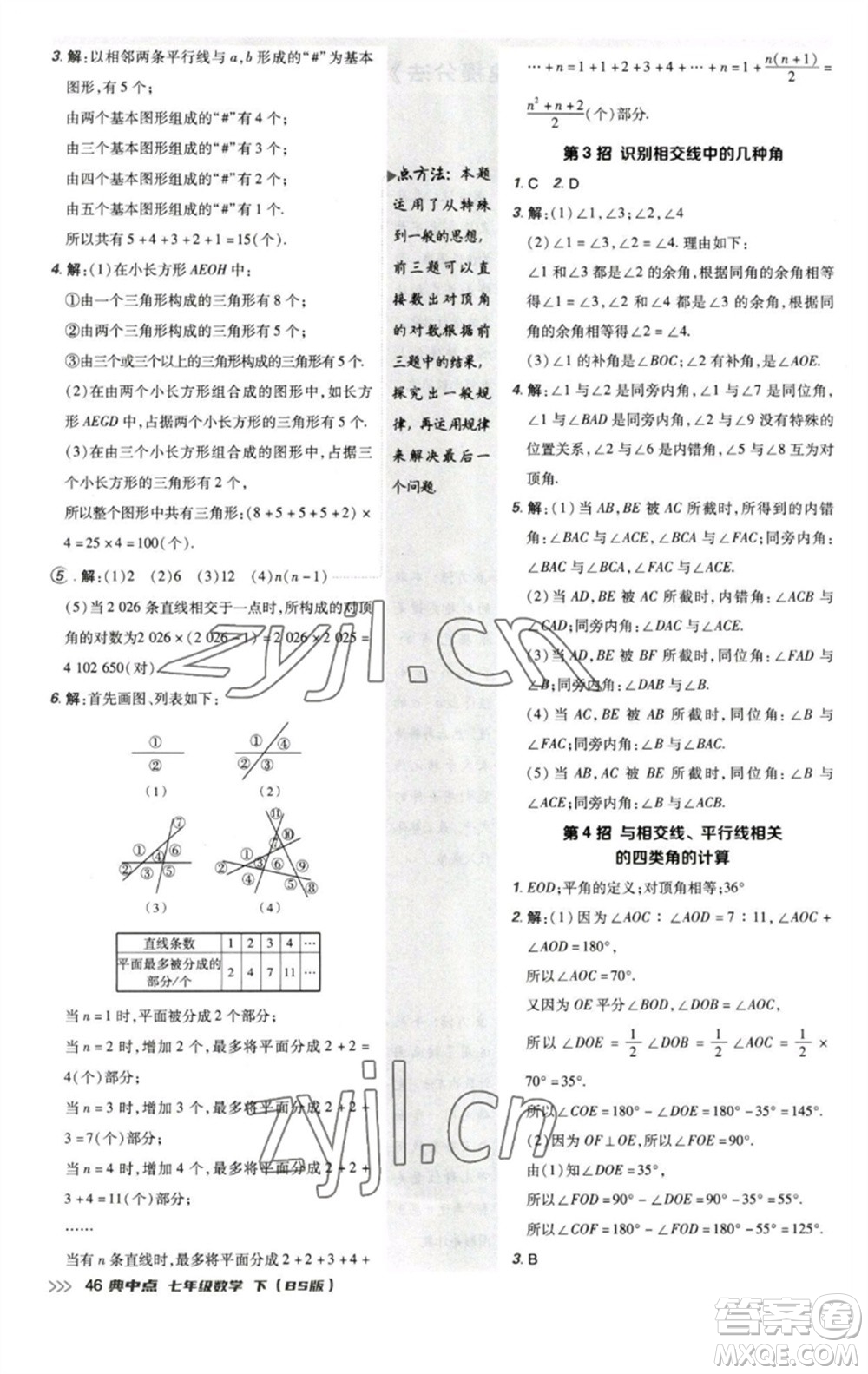 陜西人民教育出版社2023綜合應(yīng)用創(chuàng)新題典中點(diǎn)七年級(jí)數(shù)學(xué)下冊北師大版參考答案