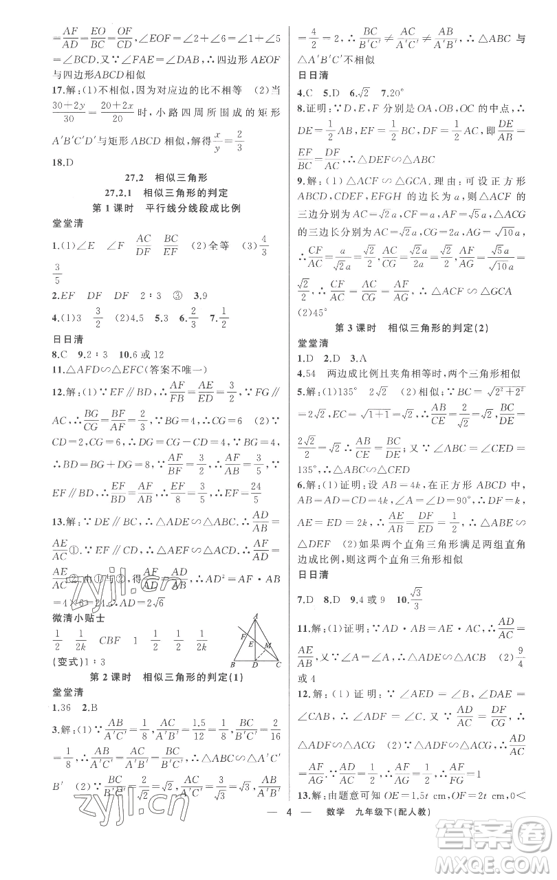 新疆青少年出版社2023四清導(dǎo)航九年級下冊數(shù)學(xué)人教版參考答案