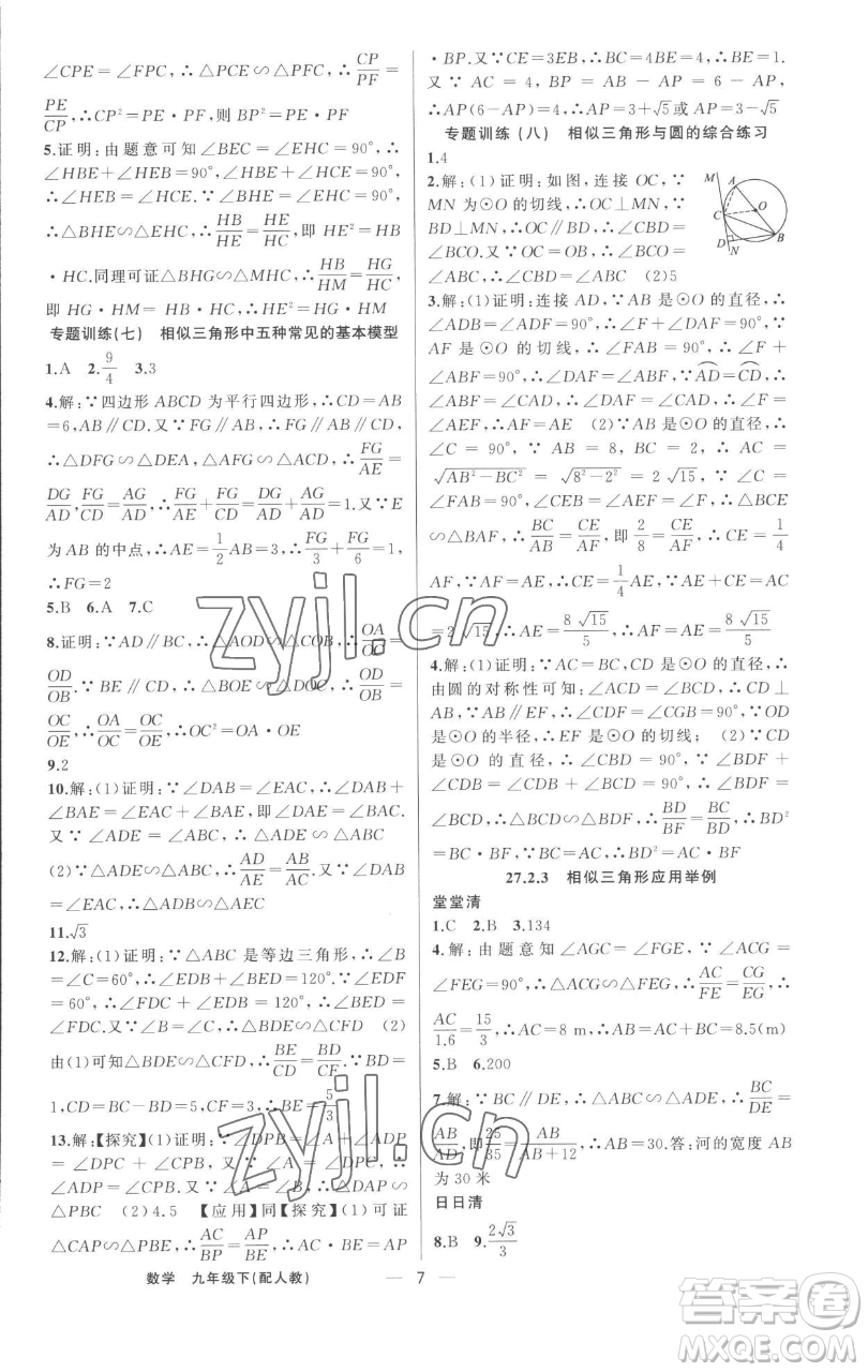 新疆青少年出版社2023四清導(dǎo)航九年級下冊數(shù)學(xué)人教版參考答案