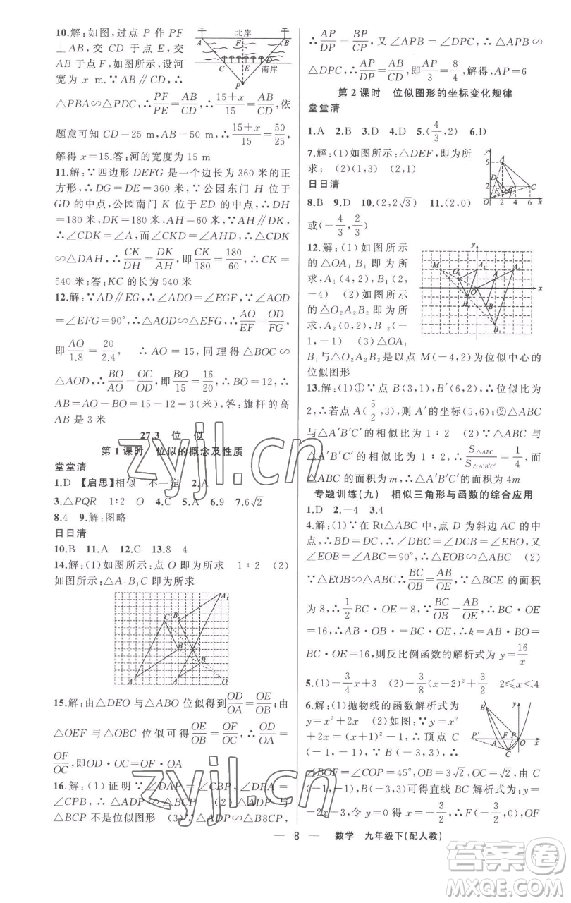 新疆青少年出版社2023四清導(dǎo)航九年級下冊數(shù)學(xué)人教版參考答案