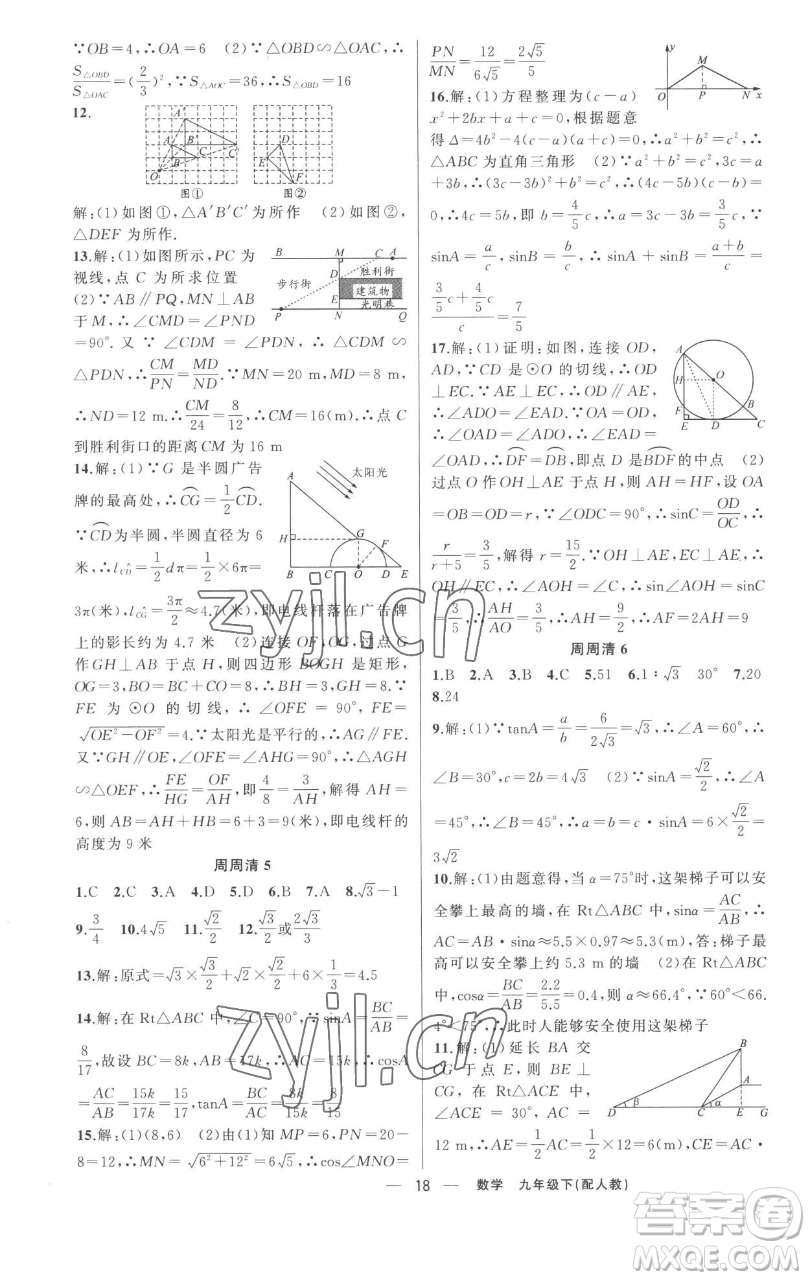 新疆青少年出版社2023四清導(dǎo)航九年級下冊數(shù)學(xué)人教版參考答案