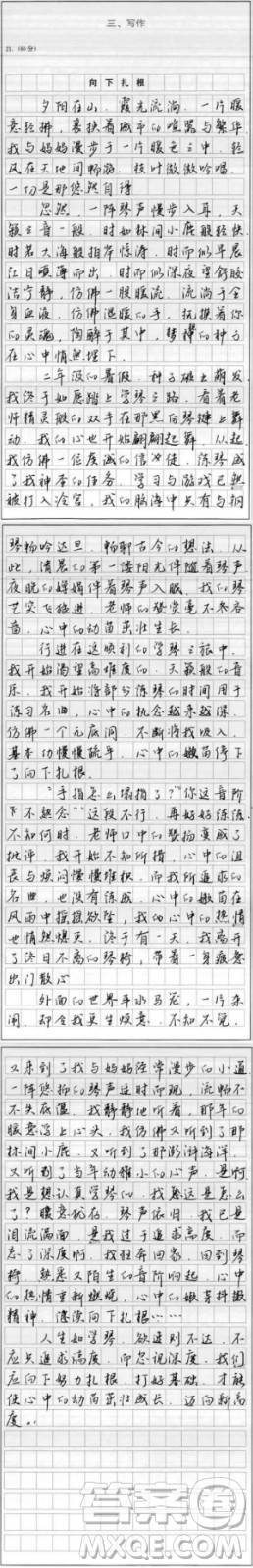 向下扎根為題作文600字 關(guān)于向下扎根為題目的作文600字