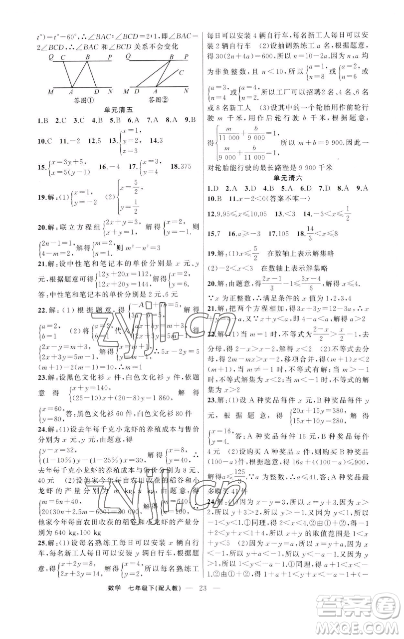 新疆青少年出版社2023四清導航七年級下冊數(shù)學人教版參考答案