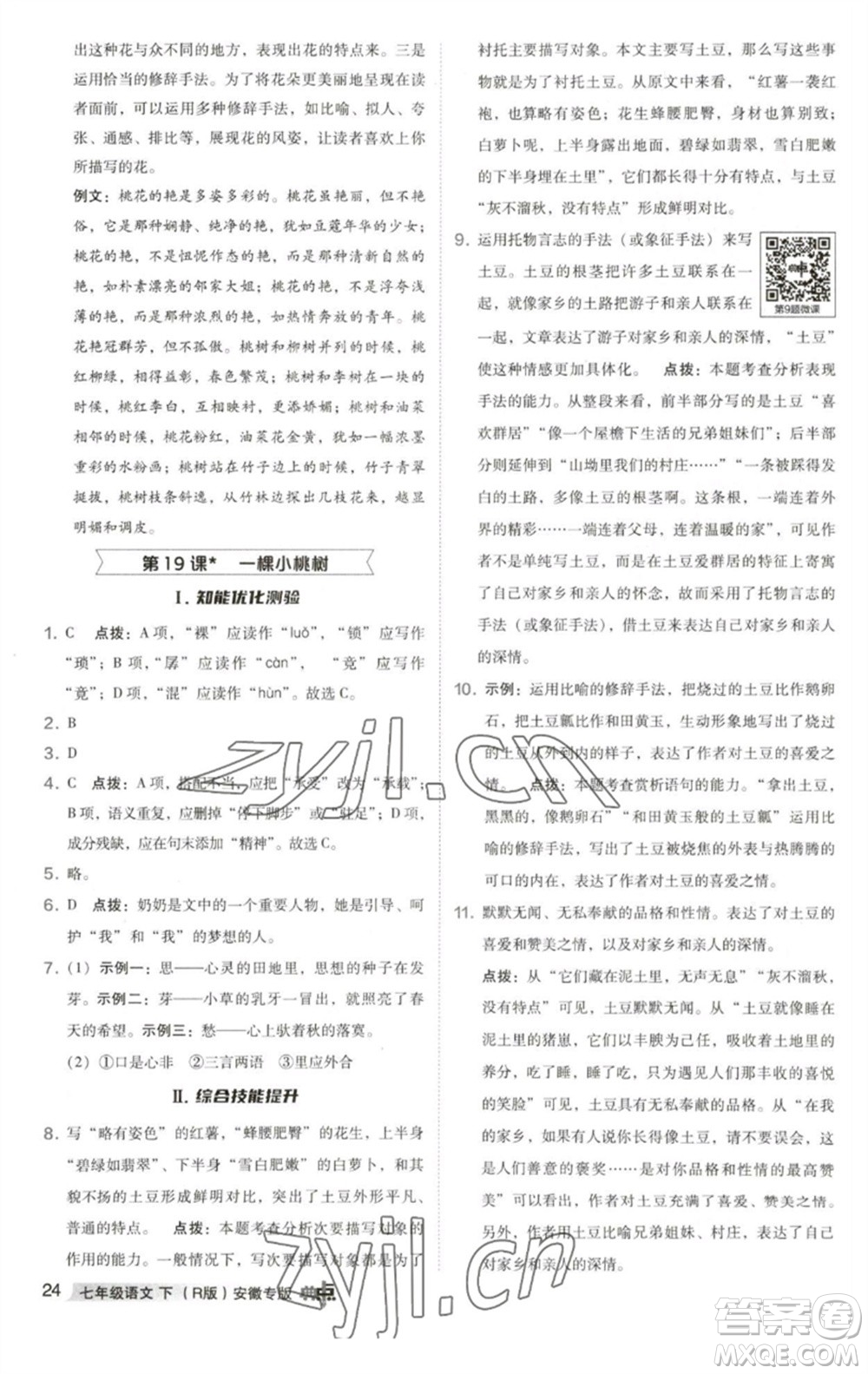 吉林教育出版社2023綜合應(yīng)用創(chuàng)新題典中點(diǎn)七年級語文下冊人教版安徽專版參考答案