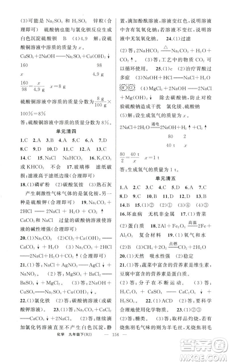 新疆青少年出版社2023四清導(dǎo)航九年級(jí)下冊化學(xué)人教版河南專版參考答案