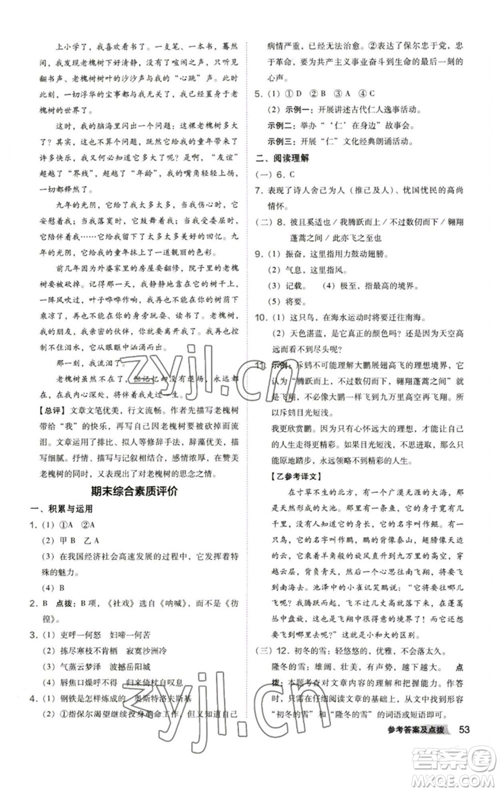 陜西人民教育出版社2023綜合應(yīng)用創(chuàng)新題典中點(diǎn)八年級(jí)語文下冊(cè)人教版參考答案