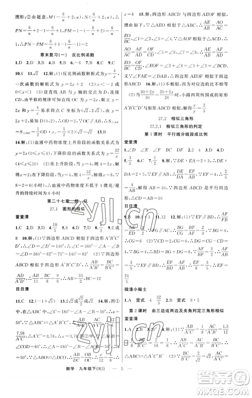 新疆青少年出版社2023四清導(dǎo)航九年級(jí)下冊(cè)數(shù)學(xué)人教版河南專版參考答案