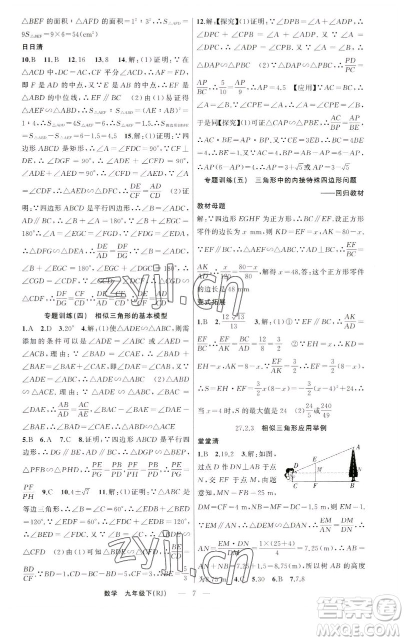 新疆青少年出版社2023四清導(dǎo)航九年級(jí)下冊(cè)數(shù)學(xué)人教版河南專版參考答案