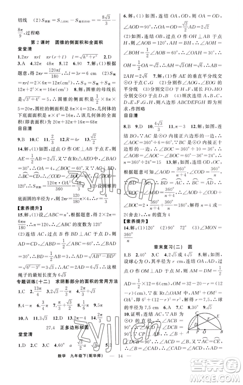 新疆青少年出版社2023四清導(dǎo)航九年級下冊數(shù)學(xué)華師大版參考答案