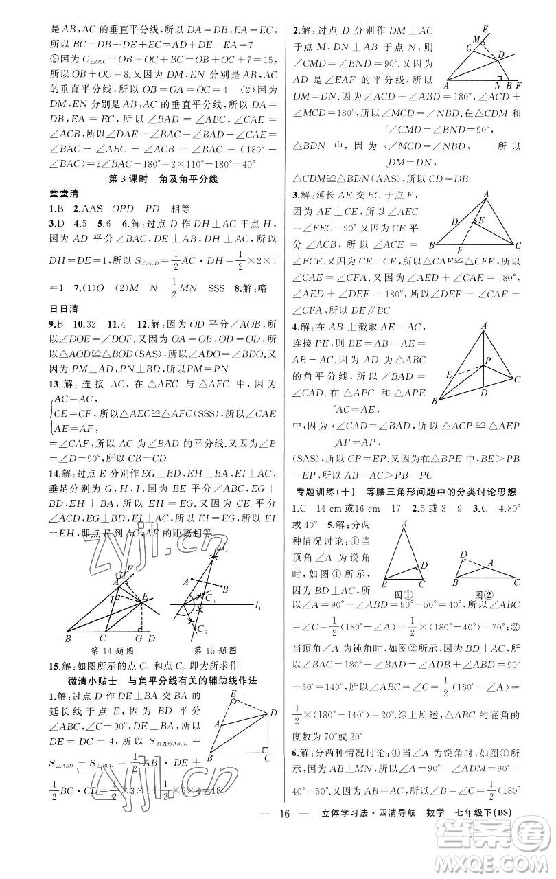 新疆青少年出版社2023四清導(dǎo)航七年級(jí)下冊(cè)數(shù)學(xué)北師大版遼寧專(zhuān)版參考答案