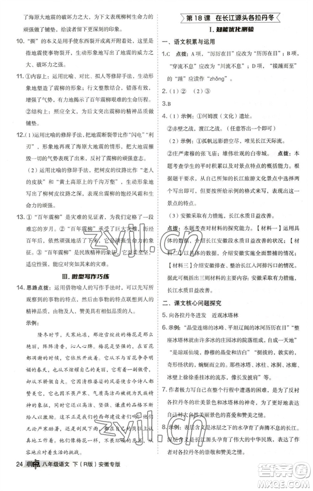 吉林教育出版社2023綜合應用創(chuàng)新題典中點八年級語文下冊人教版安徽專版參考答案