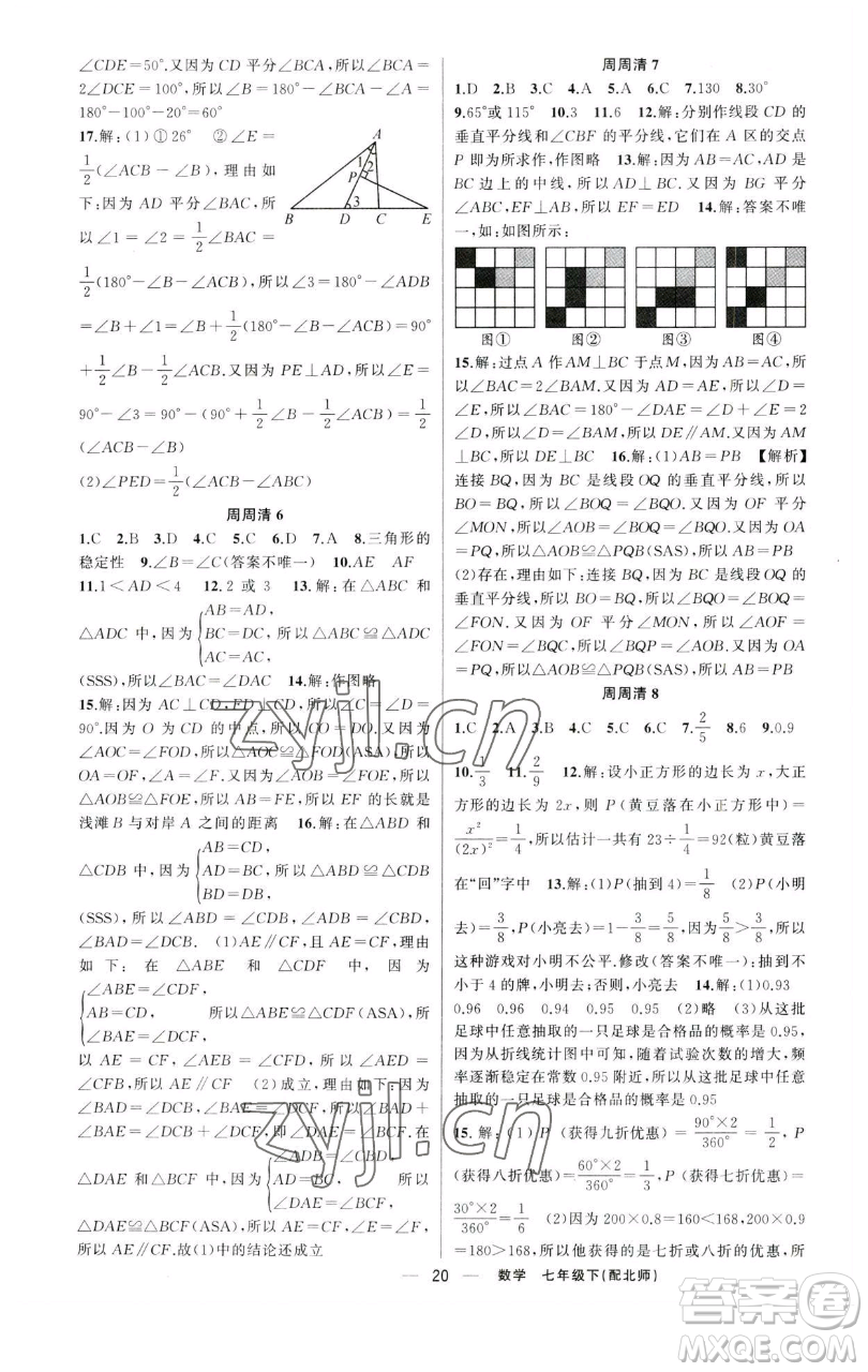 新疆青少年出版社2023四清導(dǎo)航七年級(jí)下冊(cè)數(shù)學(xué)北師大版參考答案