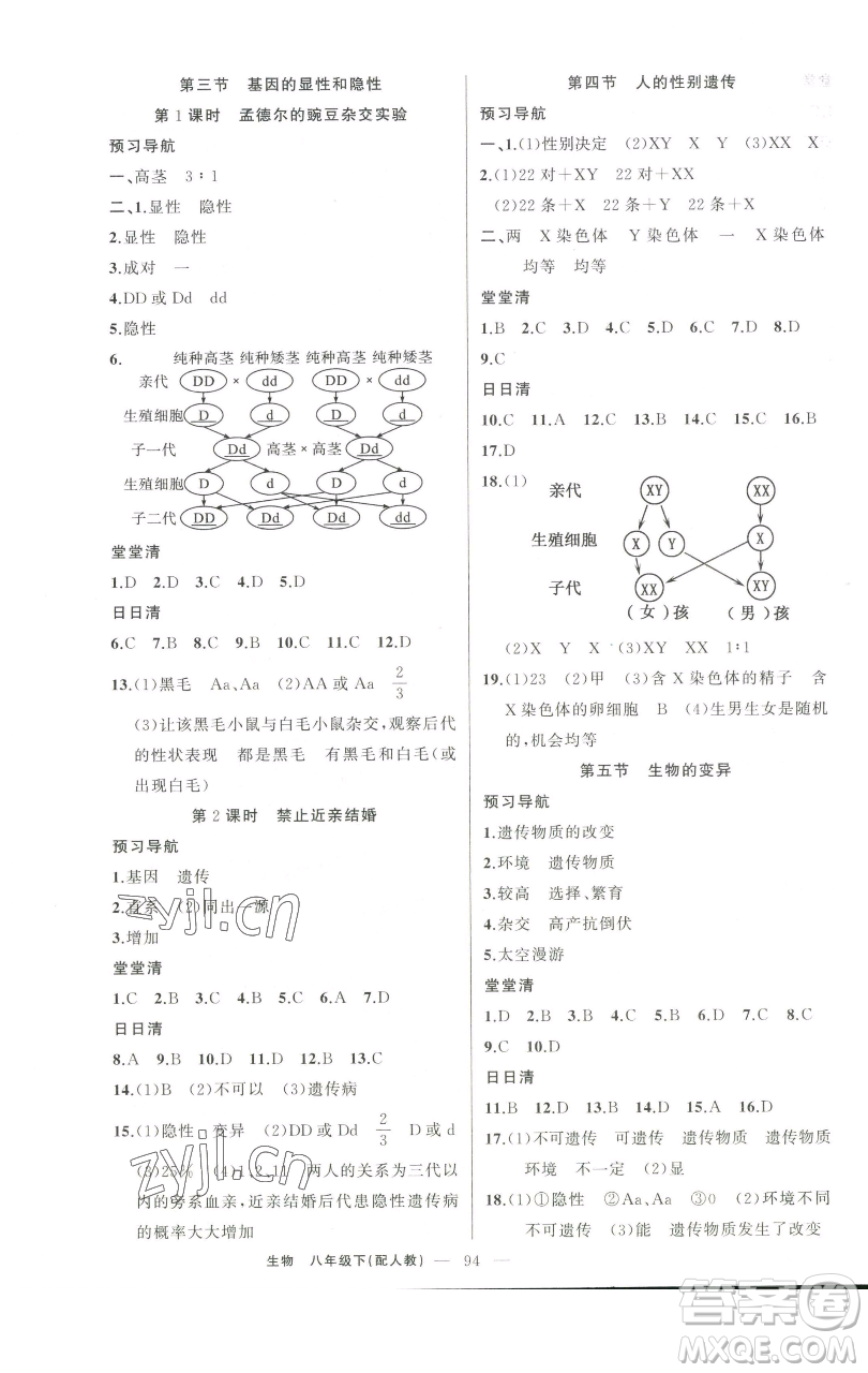 新疆青少年出版社2023四清導(dǎo)航八年級下冊生物人教版參考答案