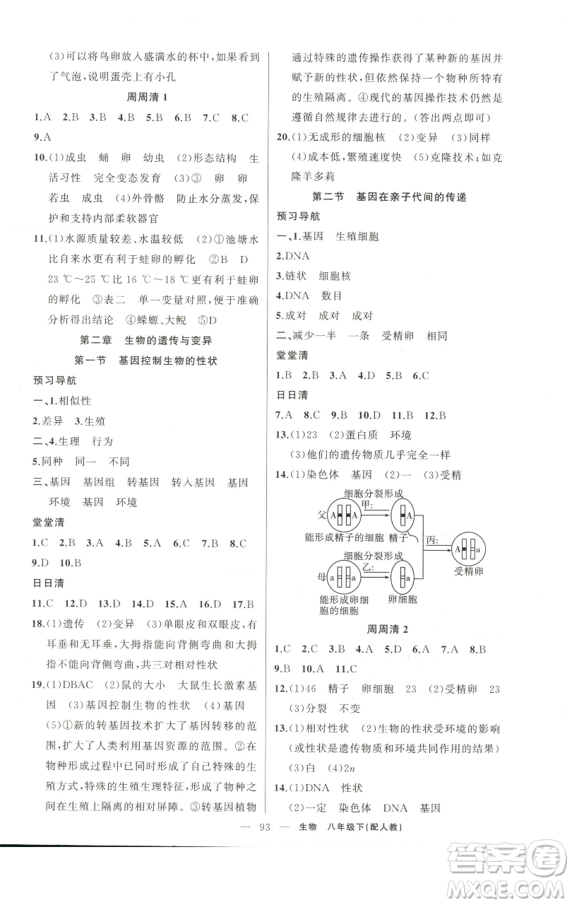 新疆青少年出版社2023四清導(dǎo)航八年級下冊生物人教版參考答案