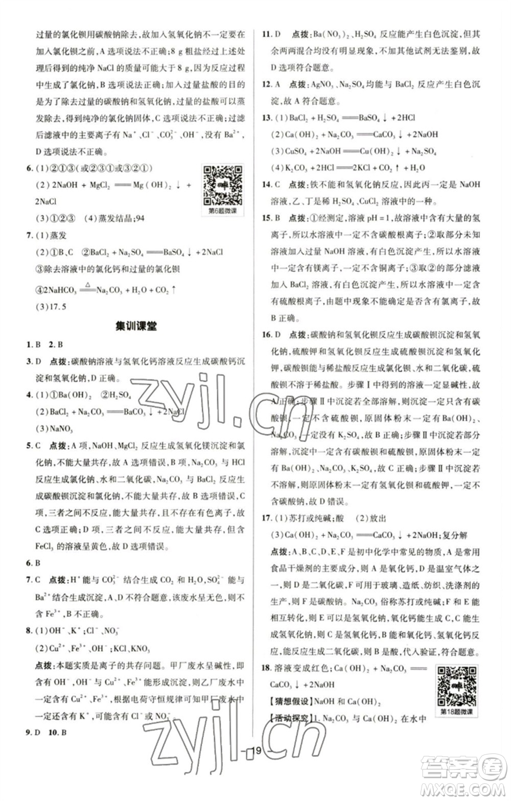 陜西人民教育出版社2023綜合應用創(chuàng)新題典中點九年級化學下冊人教版參考答案