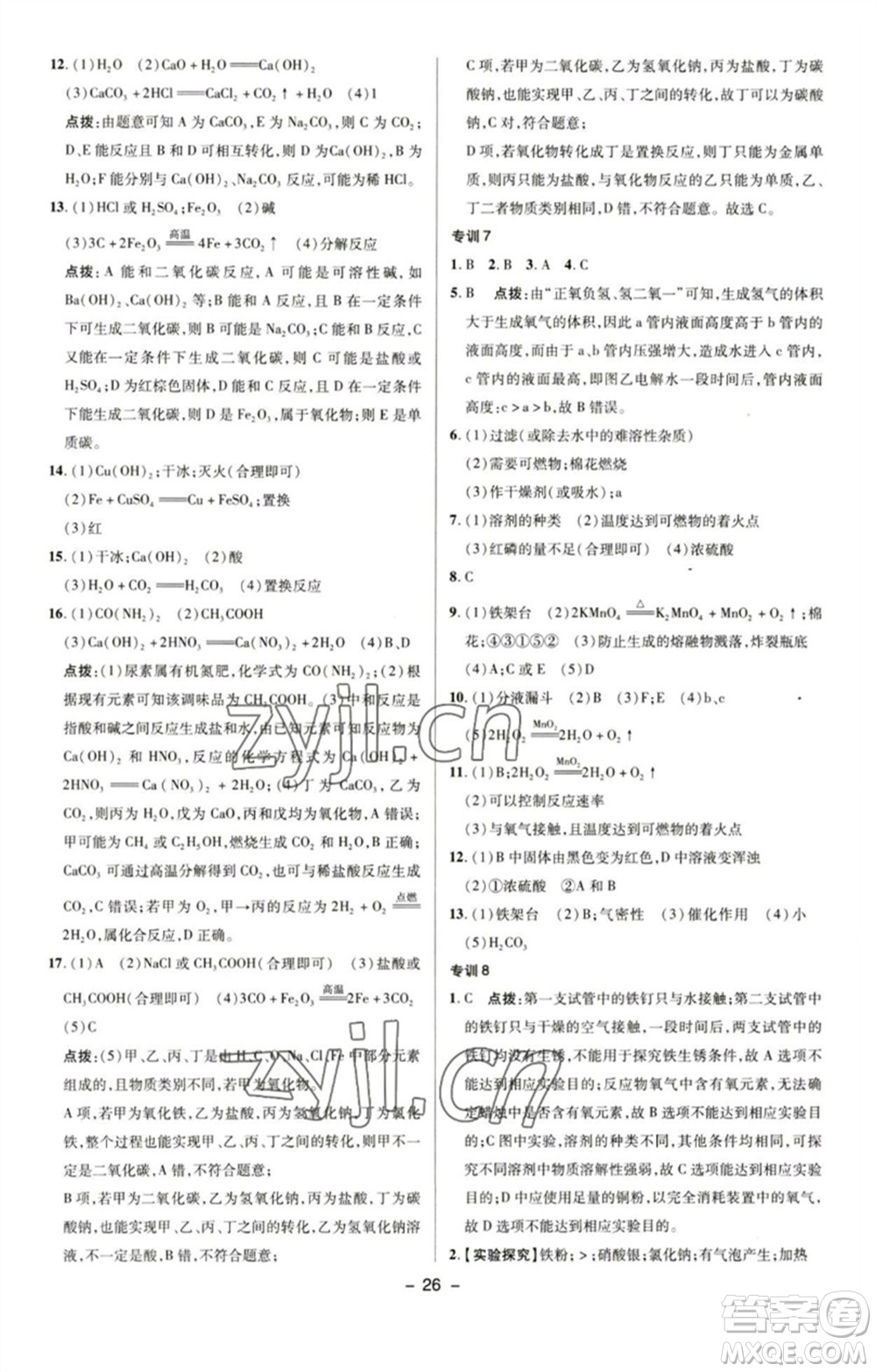 陜西人民教育出版社2023綜合應用創(chuàng)新題典中點九年級化學下冊人教版參考答案