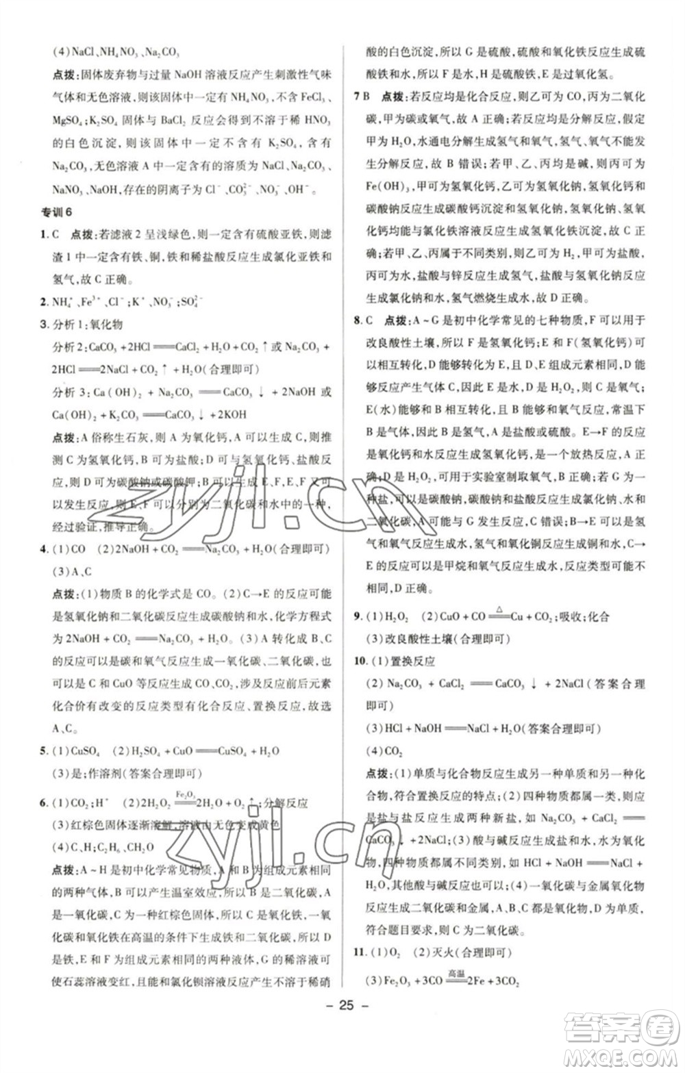 陜西人民教育出版社2023綜合應用創(chuàng)新題典中點九年級化學下冊人教版參考答案