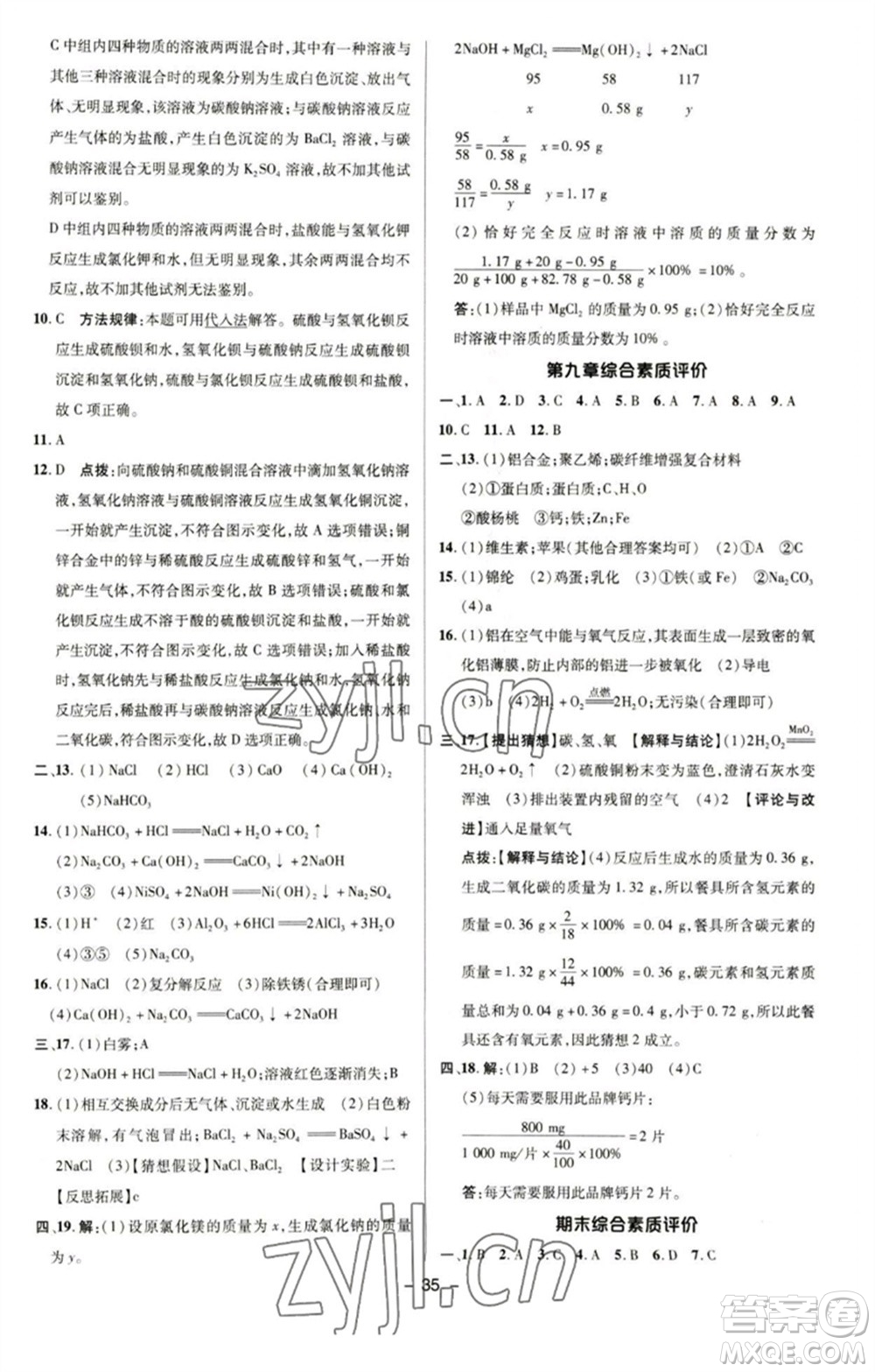 陜西人民教育出版社2023綜合應(yīng)用創(chuàng)新題典中點九年級化學(xué)下冊科粵版參考答案