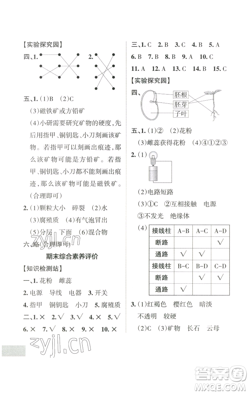 遼寧教育出版社2023小學(xué)學(xué)霸作業(yè)本四年級下冊科學(xué)教科版參考答案