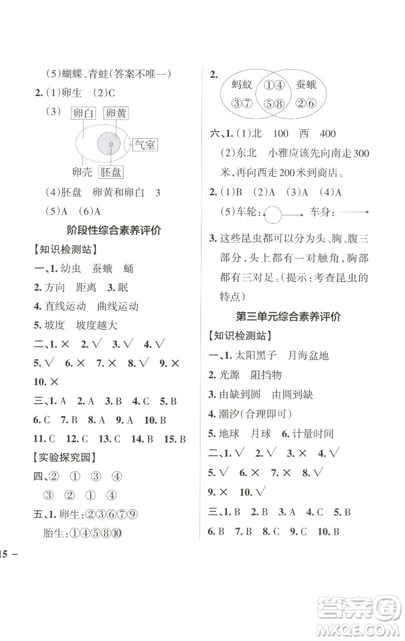 遼寧教育出版社2023小學(xué)學(xué)霸作業(yè)本三年級下冊科學(xué)教科版參考答案