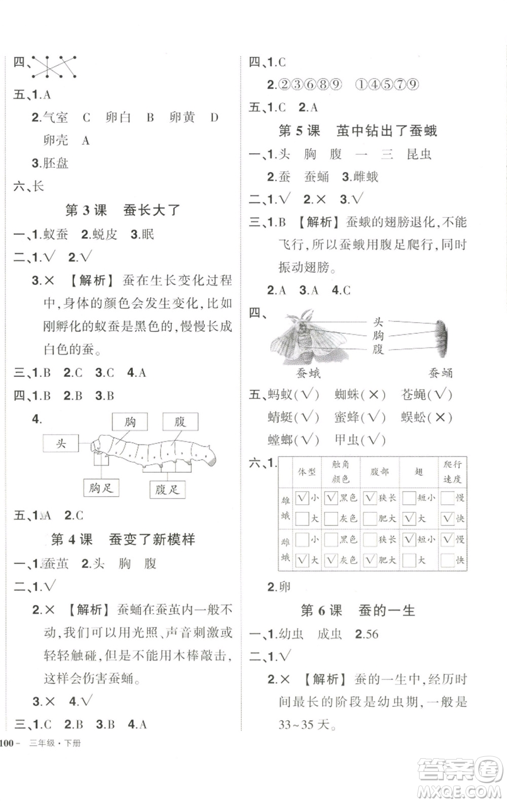 武漢出版社2023狀元成才路創(chuàng)優(yōu)作業(yè)100分三年級科學下冊教科版參考答案