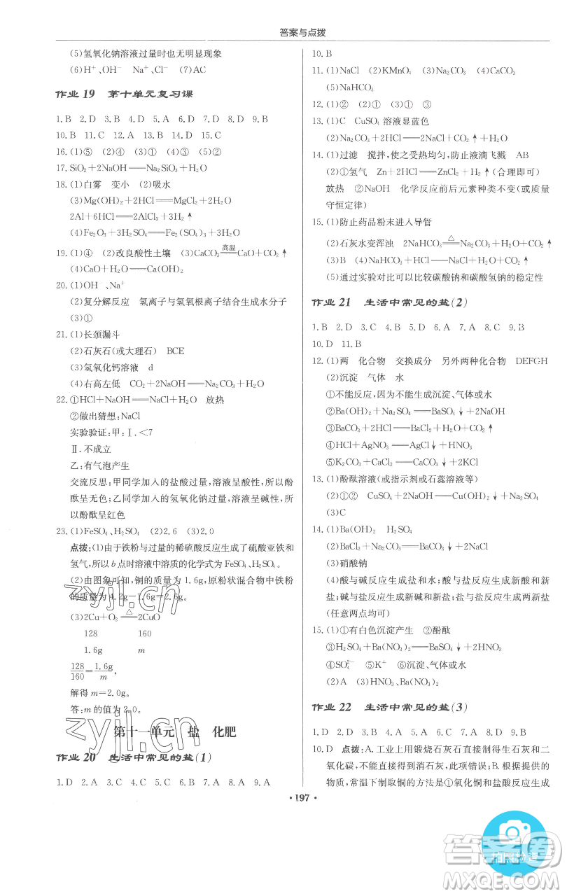 龍門書局2023啟東中學(xué)作業(yè)本九年級下冊化學(xué)人教版參考答案