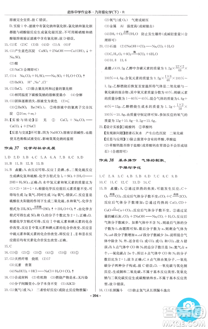 龍門書局2023啟東中學(xué)作業(yè)本九年級下冊化學(xué)人教版參考答案