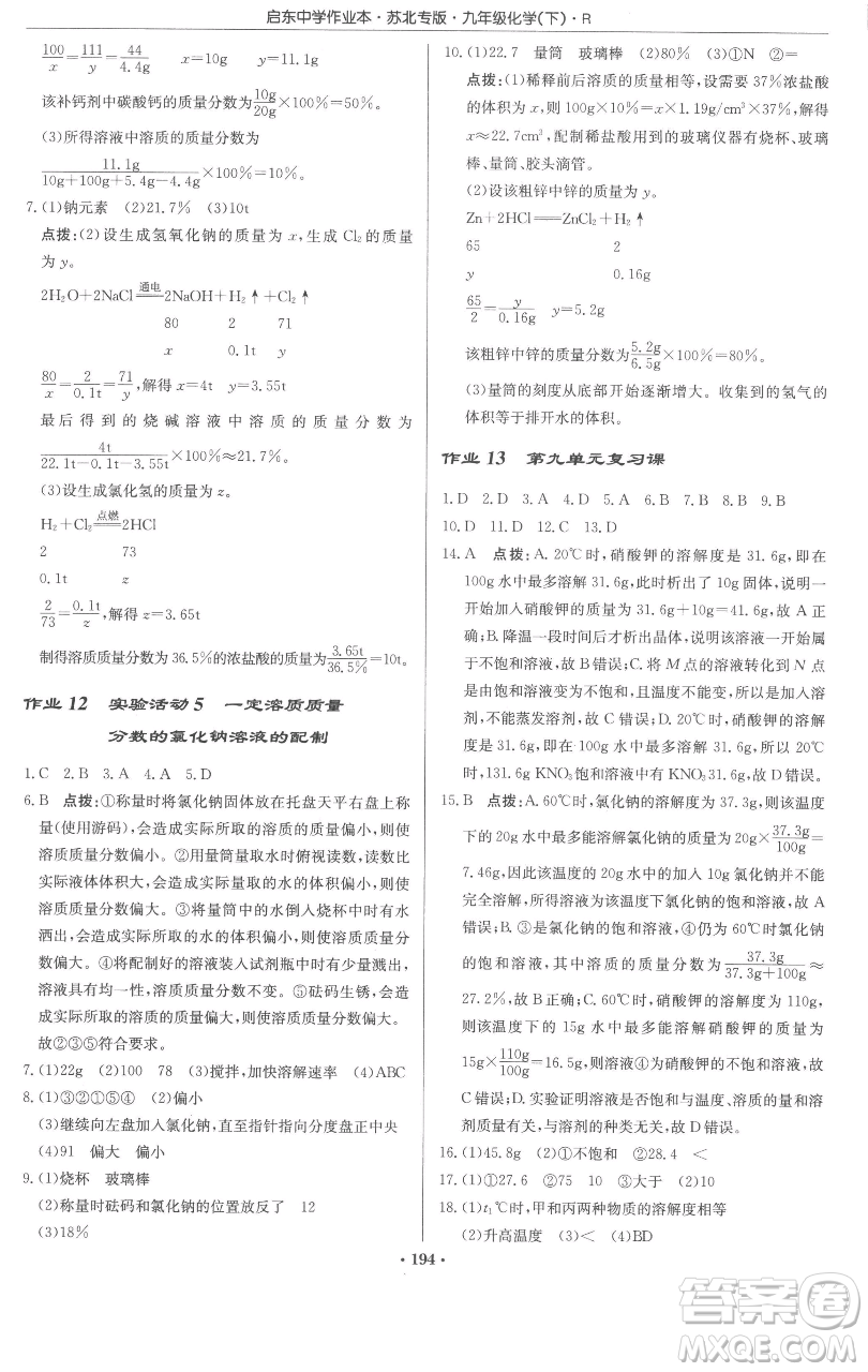 龍門書局2023啟東中學(xué)作業(yè)本九年級下冊化學(xué)人教版蘇北專版參考答案