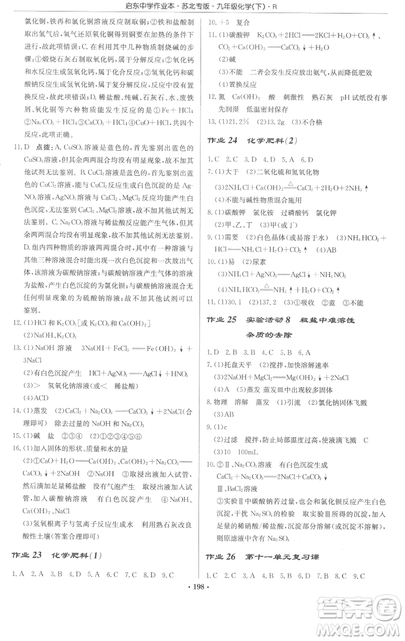 龍門書局2023啟東中學(xué)作業(yè)本九年級下冊化學(xué)人教版蘇北專版參考答案